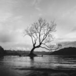 JuriGlobal en un mot : un environnement de travail agréable avec des valeurs fortes