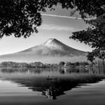 Les erreurs fréquentes dans les mises à jour corporatives (et comment les éviter)